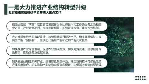 低碳经济碳达峰碳中和新理念PPT党课