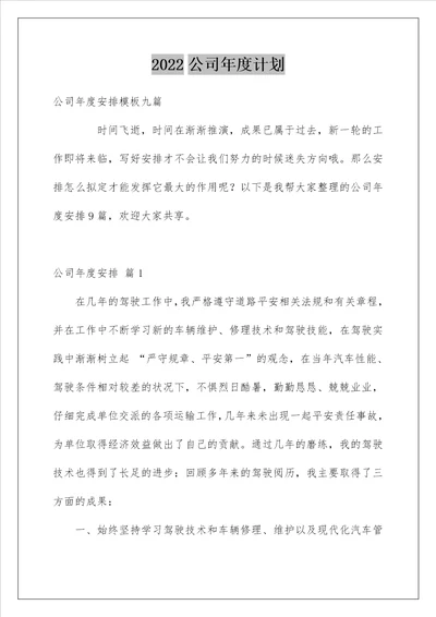 公司年度计划