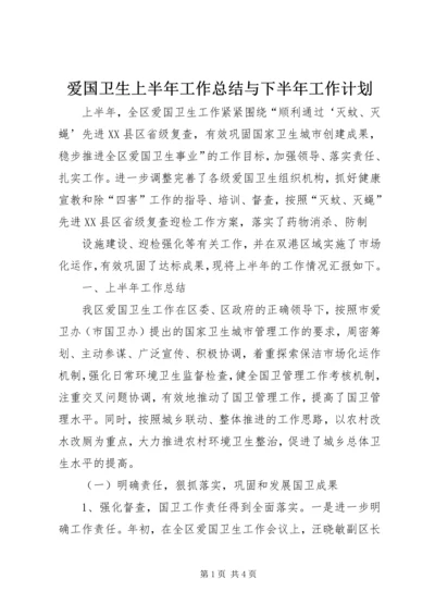 爱国卫生上半年工作总结与下半年工作计划 (2).docx