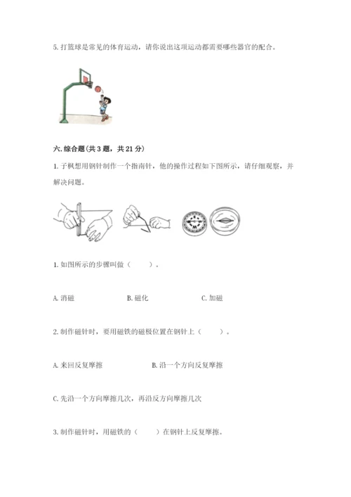 教科版小学科学二年级下册 期末测试卷（巩固）.docx