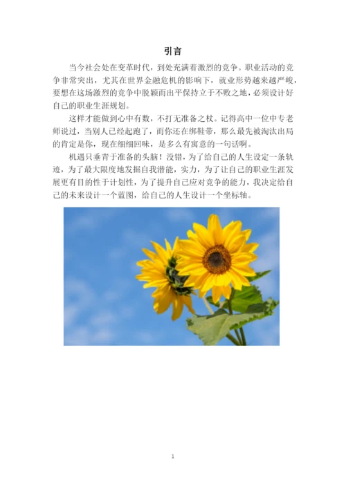 11页3900字舞蹈学专业职业生涯规划.docx