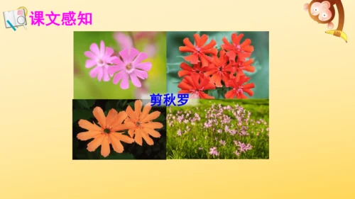 3 现代诗二首  课件