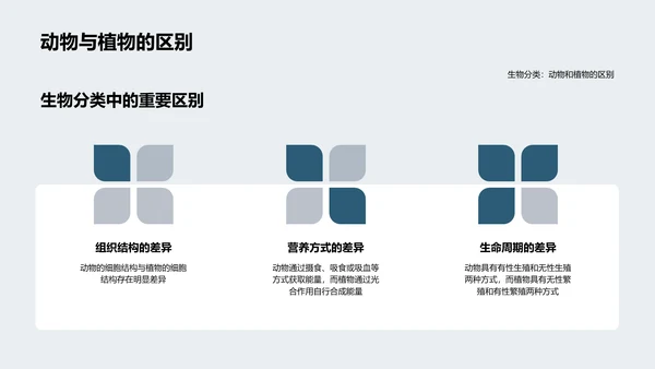 动物学教学讲座PPT模板