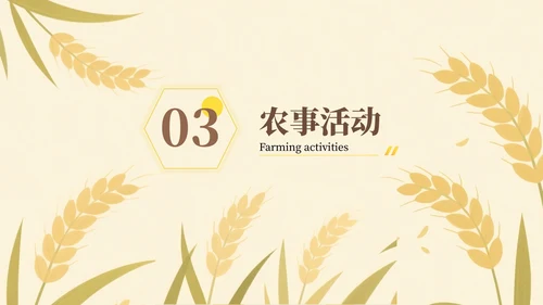 黄色芒种节气介绍通用PPT模板