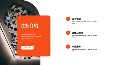单色扁平3项企业介绍