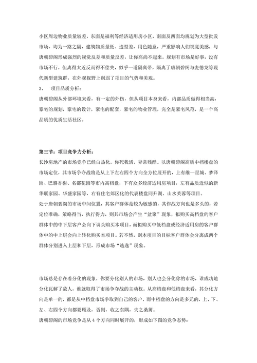 唐朝碧阁品牌战略策划全案报告书