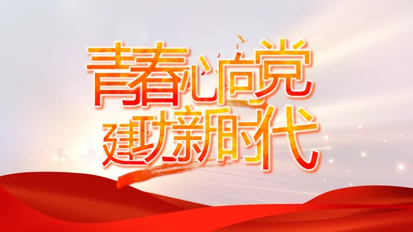 党支部党员大会年终工作总结动态PPT