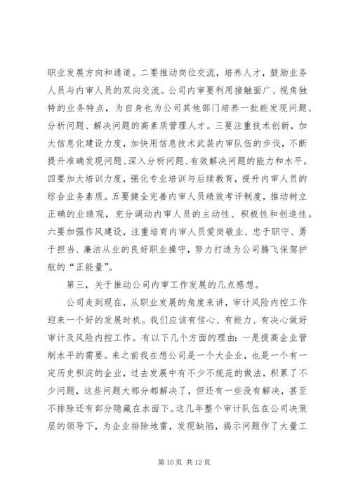 内审分管领导讲话(精).docx