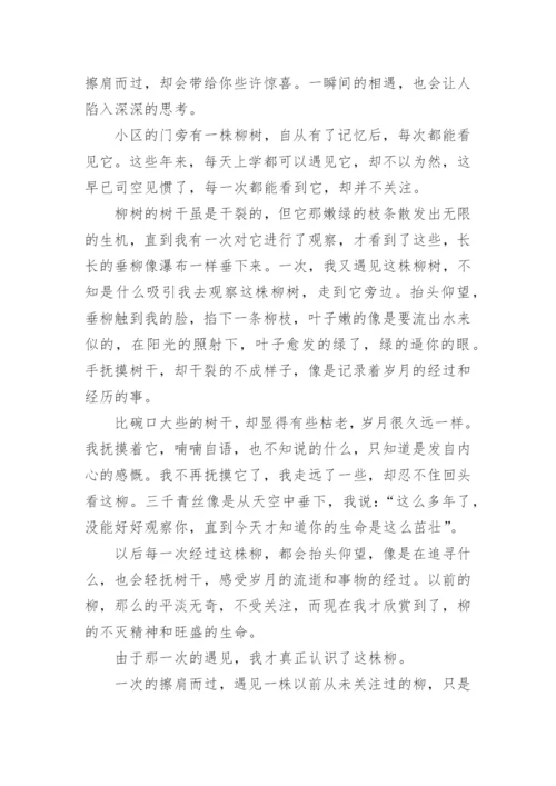 以遇见的半命题作文600字范本10篇.docx