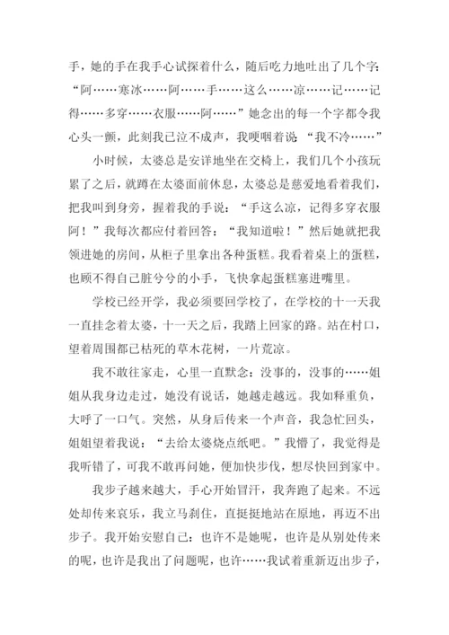 少年的梦境作文.docx