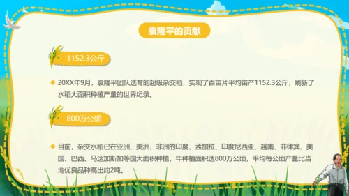 杂交水稻之父袁隆平通用PPT模板
