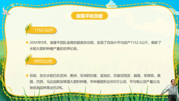 杂交水稻之父袁隆平通用PPT模板