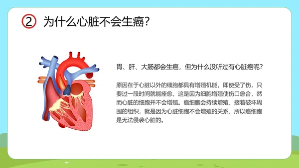 小讲堂趣味科普通用PPT模板