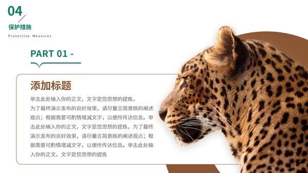 猎豹动物世界花豹科普介绍，豹子通用PPT模板