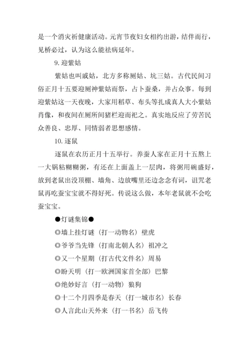 企业元宵节活动专业方案.docx