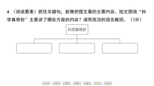 统编版语文六年级上册（江苏专用）第六单元素养测评卷课件