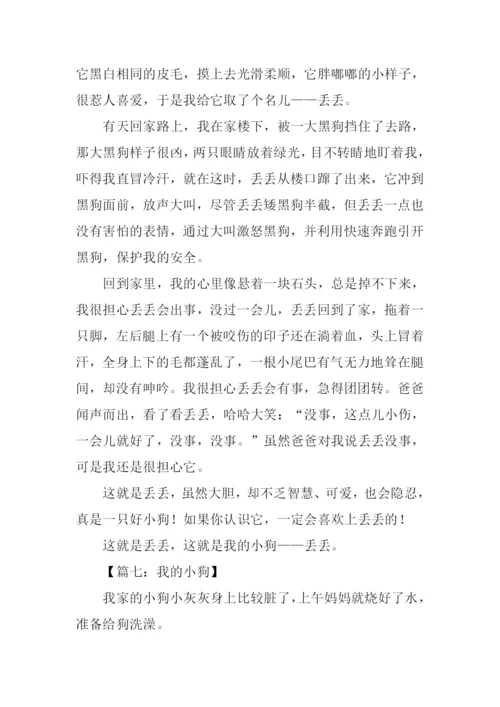 我的小狗作文450字.docx