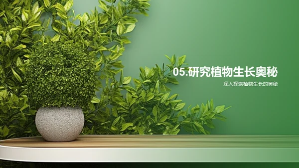 植物生长的秘密