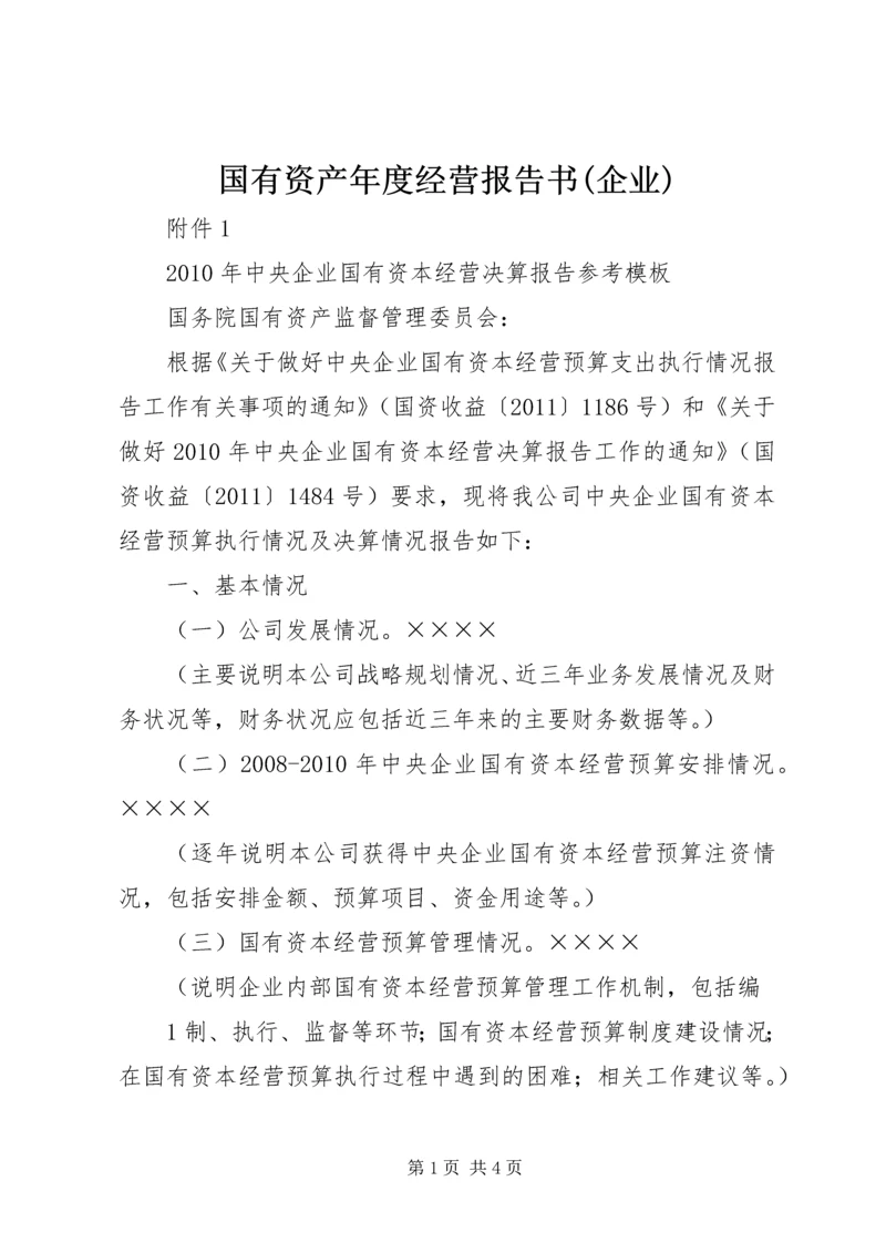 国有资产年度经营报告书(企业) (4).docx