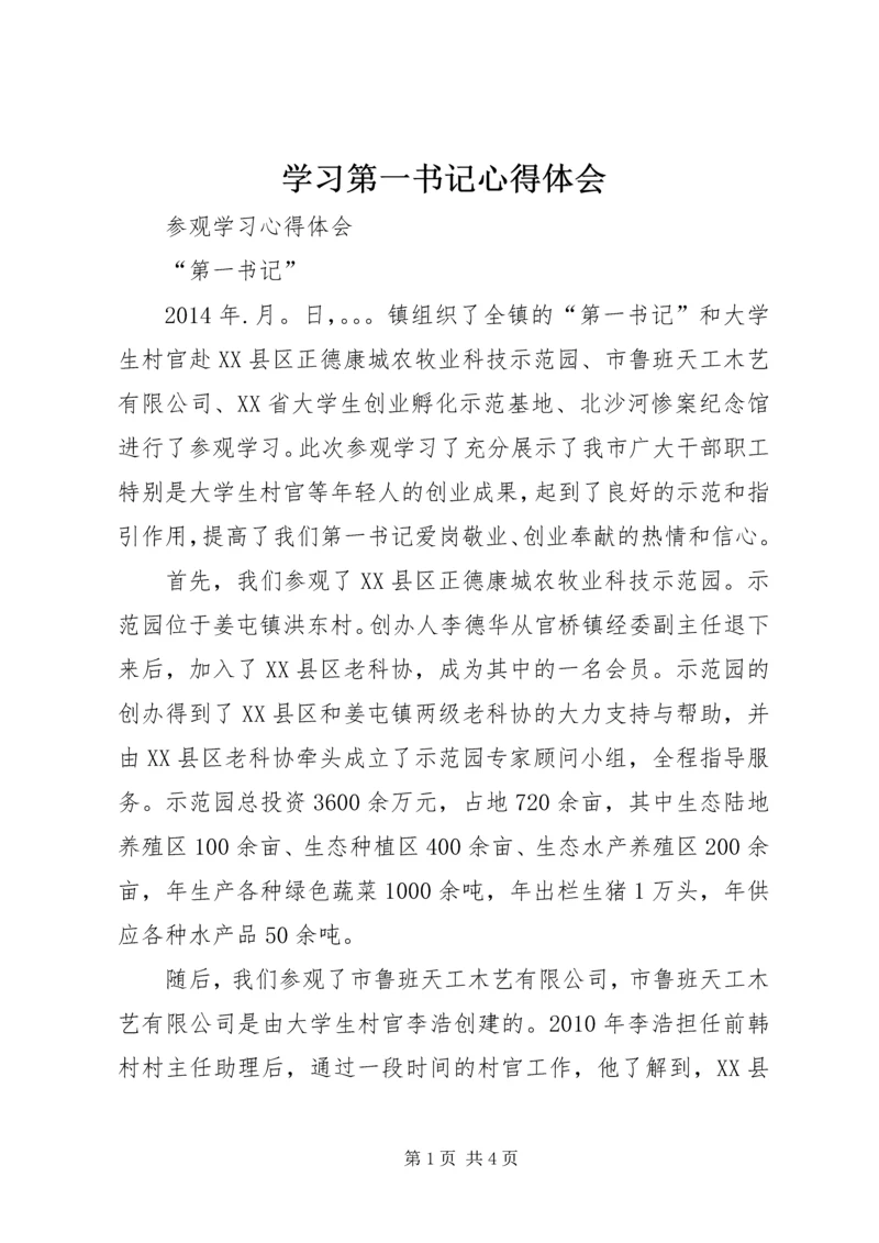 学习第一书记心得体会编辑精选.docx