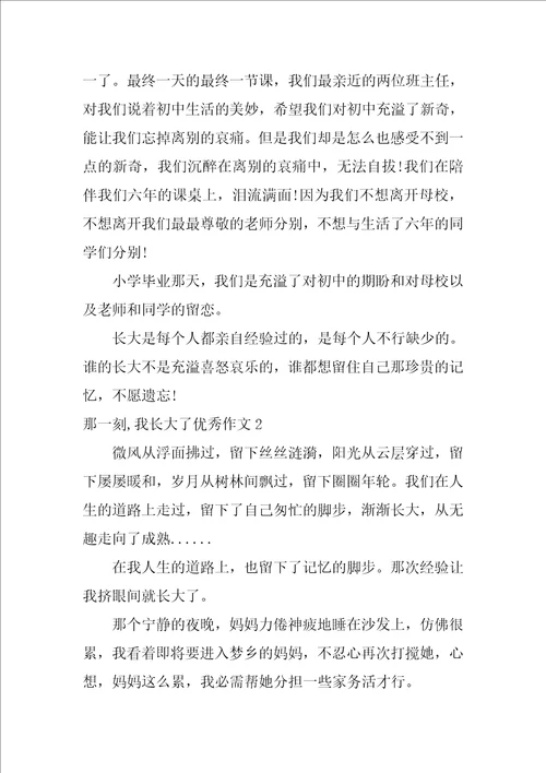 那一刻,我长大了优秀作文