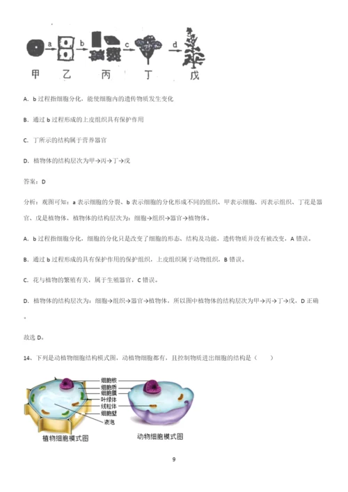 人教版2023初中生物七年级上册第二单元生物体的结构层次知识汇总笔记.docx