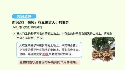 7.2.5生物的变异课件-人教版生物八年级下册(共28张PPT)