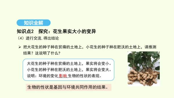 7.2.5生物的变异课件-人教版生物八年级下册(共28张PPT)