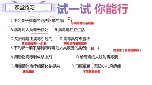人教版生物七年级上册2.3.4《病毒》（课件）(共19张PPT)+视频素材