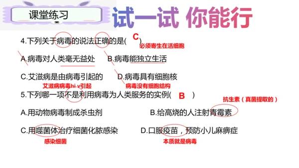 人教版生物七年级上册2.3.4《病毒》（课件）(共19张PPT)+视频素材