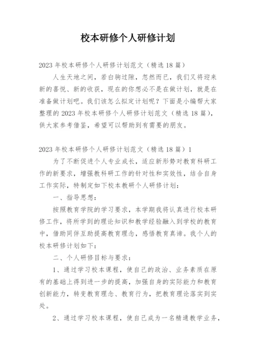 校本研修个人研修计划.docx