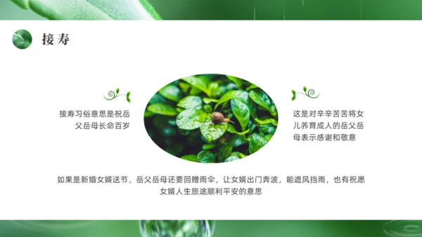 雨水绿色露水背景通用PPT模板
