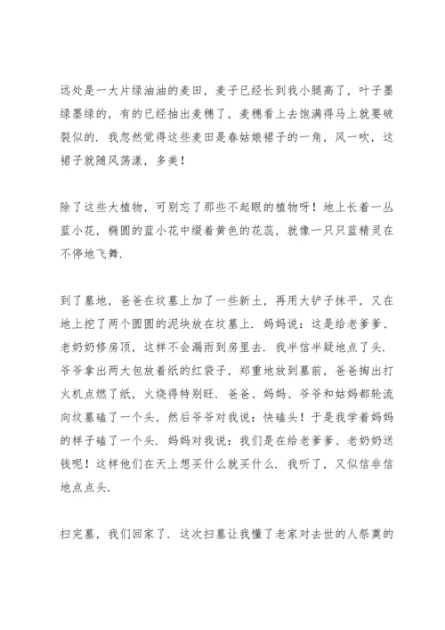 清明节小长假踏青游玩心得体会例文【5篇】.docx
