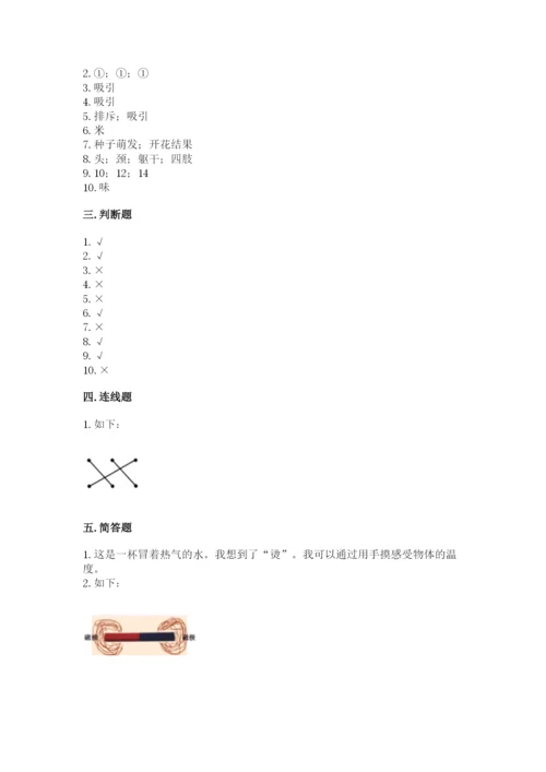 教科版小学科学二年级下册期末测试卷附参考答案【精练】.docx