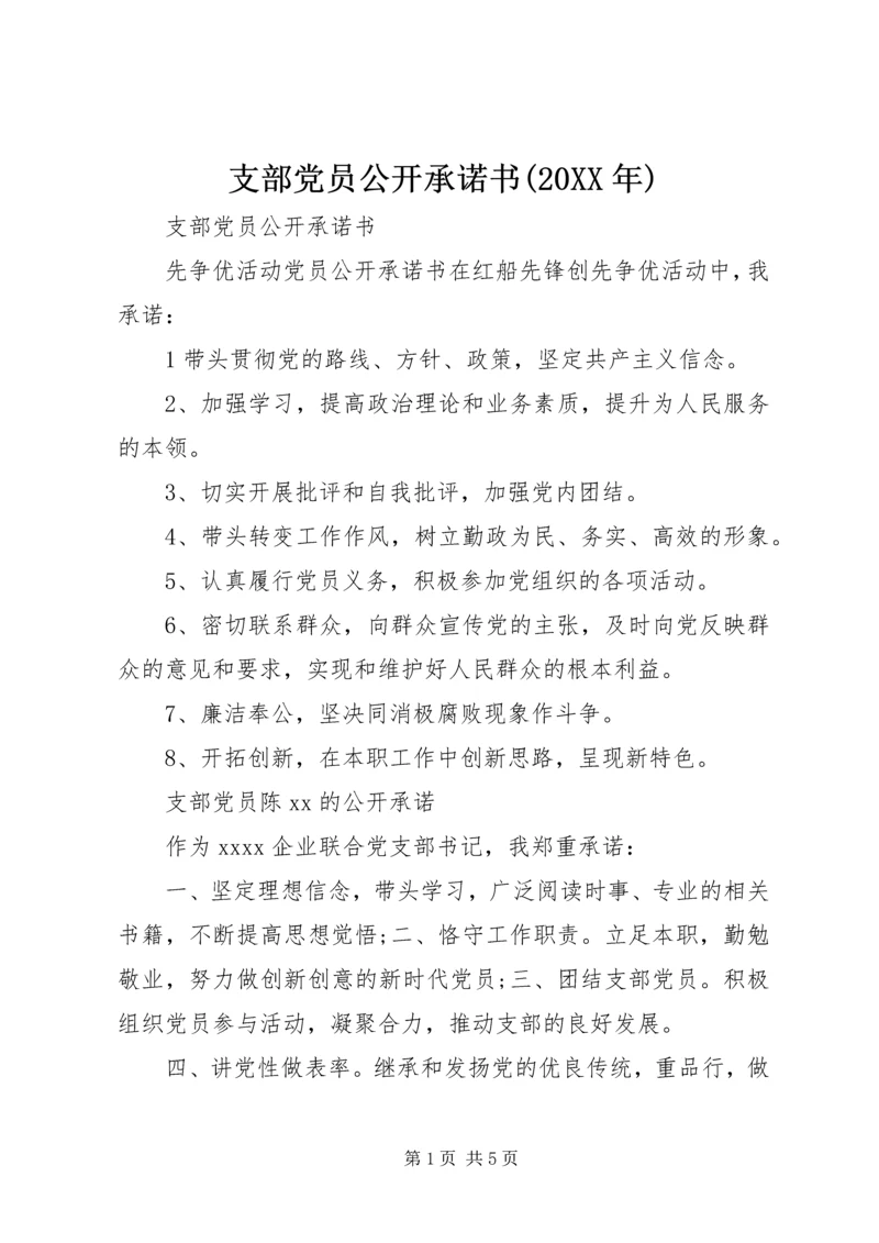 支部党员公开承诺书(20XX年).docx