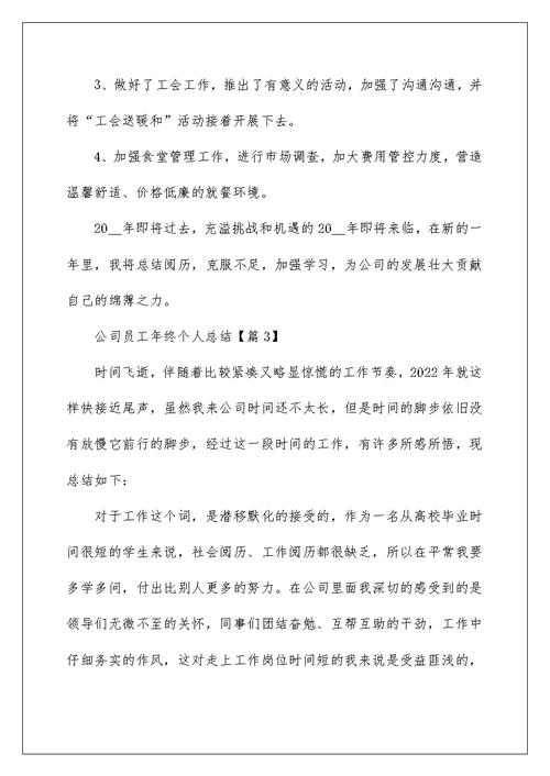 2022公司员工年终个人总结范文5篇