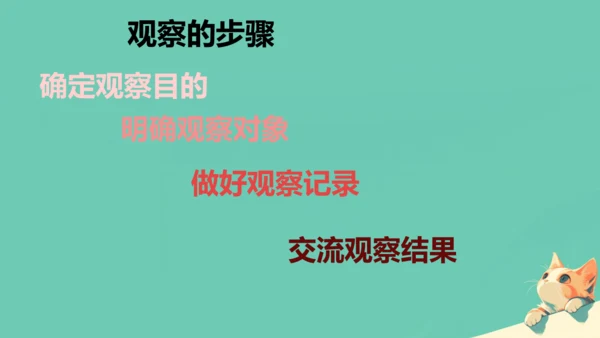 人教版（2024）七年级上册1.1.1 观察周边环境中的生物 课件(共20张PPT)
