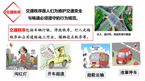 【新课标】3.1 维护秩序（课件27张ppt）【2024秋新教材】2024-2025学年八年级道德与