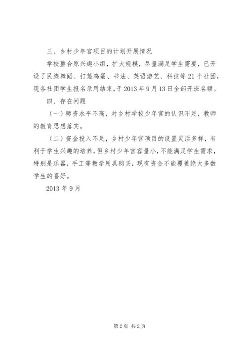 民族小学乡村少年宫开展情况汇报.docx