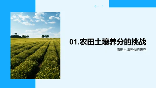 农田土壤养分管理新探