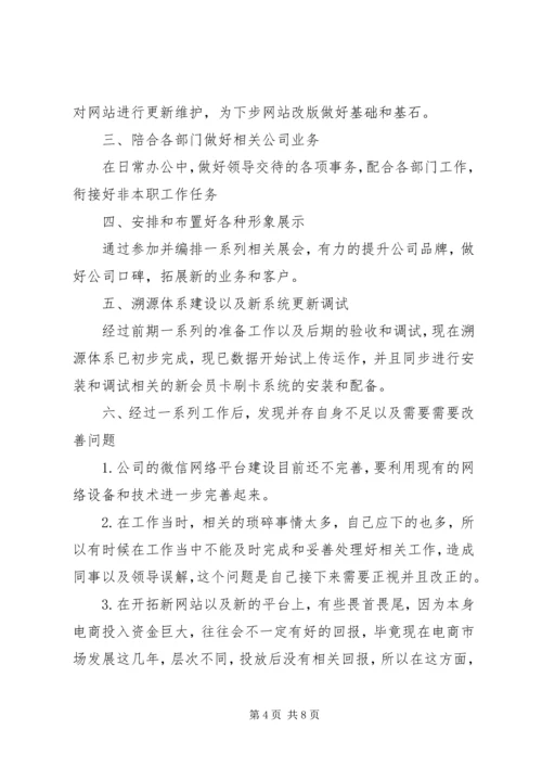 篇一：XX年公司个人工作计划 (13).docx