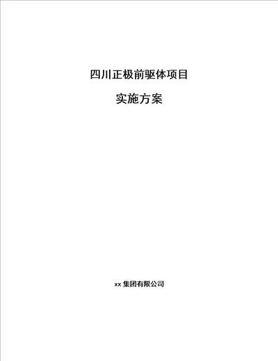 四川正极前驱体项目实施方案范文样例