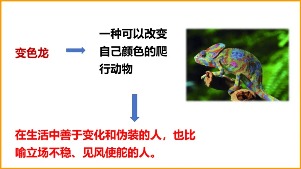 统编版四年级语文下册同步精品课堂系列语文园地四（教学课件）