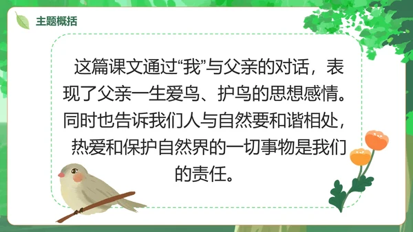 部编版三年级上册《父亲树林和鸟》课件PPT模板