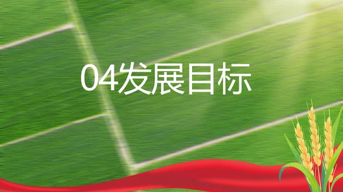 党建引领促发展乡村振兴展画卷PPT