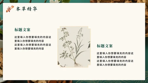 绿色高级中国风中医中药传统文化科普PPT模板