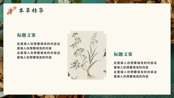 绿色高级中国风中医中药传统文化科普PPT模板