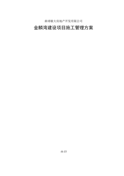 房地产建设专项项目综合施工管理专题方案.docx