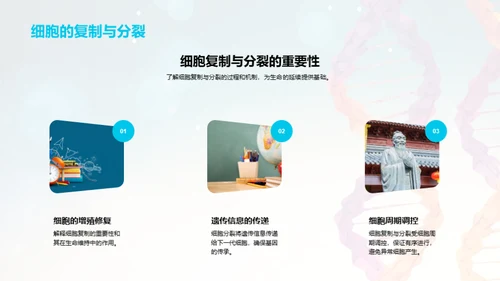生命科学之奥秘揭秘