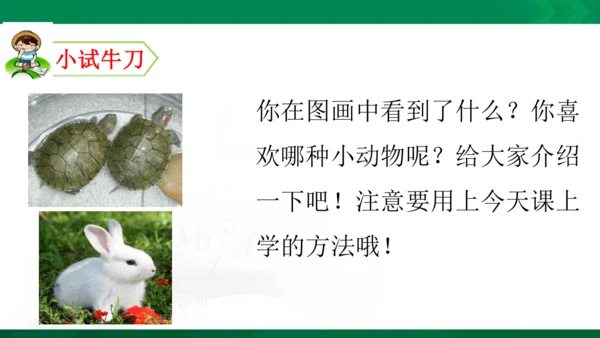 部编版二年级语文看图写话写动物课件